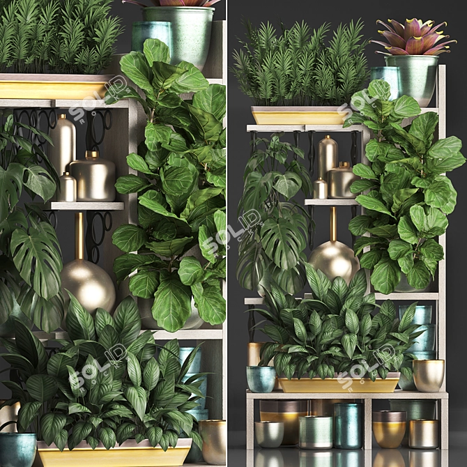 Title: Exotic Plant Collection: Houseplants, Palms, Monstera, Bromelia 3D model image 1