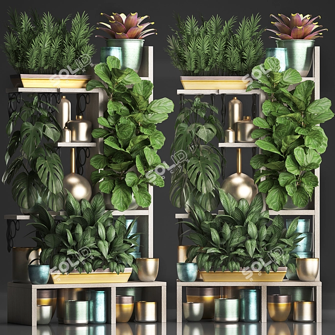 Title: Exotic Plant Collection: Houseplants, Palms, Monstera, Bromelia 3D model image 2