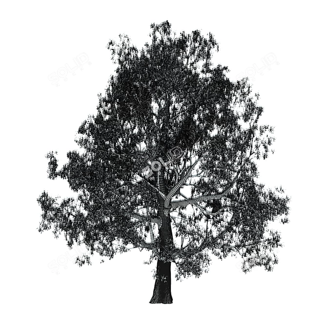 Vivid Broadleaf Tree: Realistic & Detailed 3D model image 3