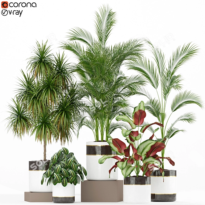 Evergreen Elegance: Plants Collection 188 3D model image 1