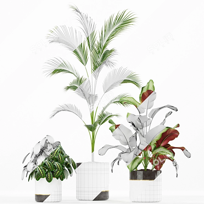 Evergreen Elegance: Plants Collection 188 3D model image 3