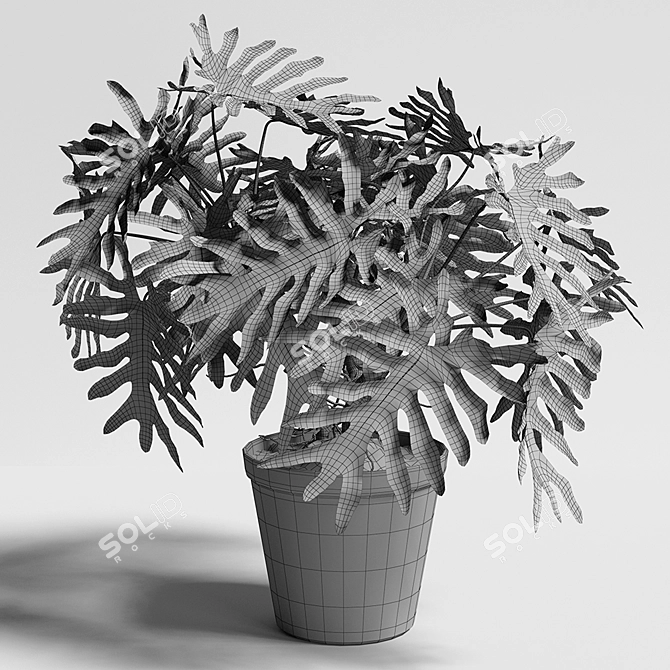 Tropical Philodendron Plant - 3D Model 3D model image 3