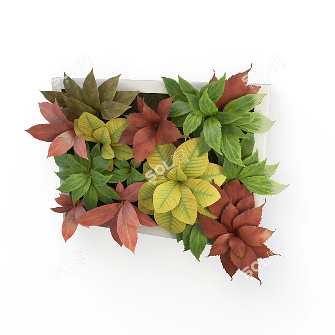 Autumnal Vegetal 3D Wall Frame 3D model image 1