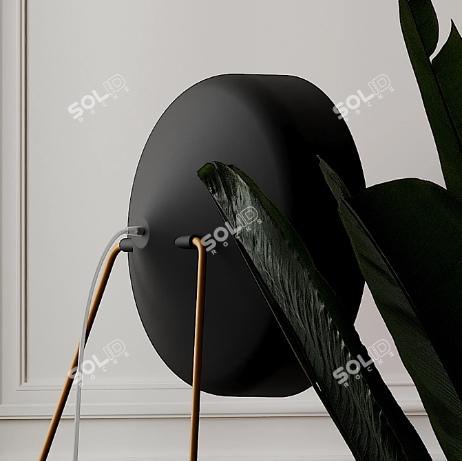 Cyrcus F Lavagna and Cemento Floor Lamps 3D model image 3