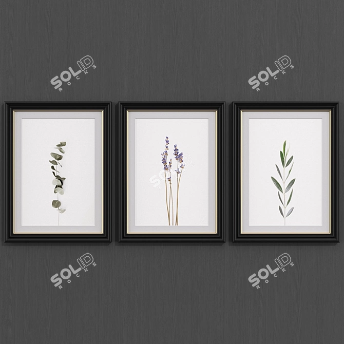 Modern Botanical Art Collection 3D model image 1