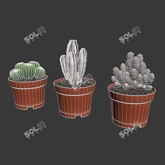 Spike Succulent: Low-maintenance Cactus 3D model image 3