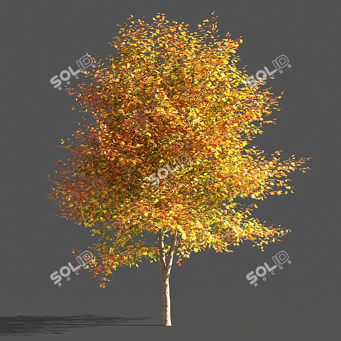 Elegant Tulip Tree Sculpture 3D model image 1