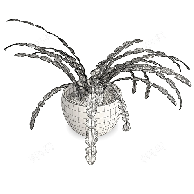 Sculpted Schlumbergera: Potted Beauty 3D model image 2