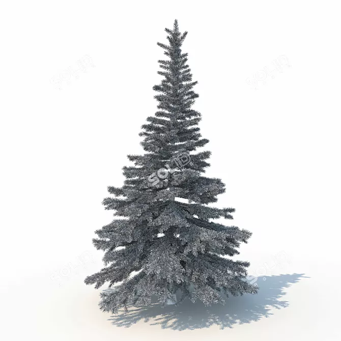 Spruce Tree 3D Model: Highly Detailed, Realistic 3D model image 4