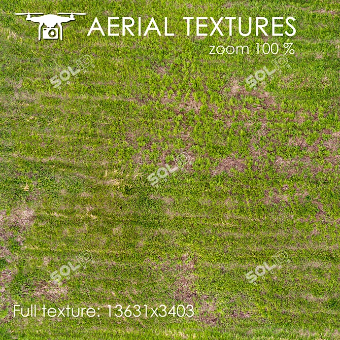 Aerial Grass Texture 3D model image 2