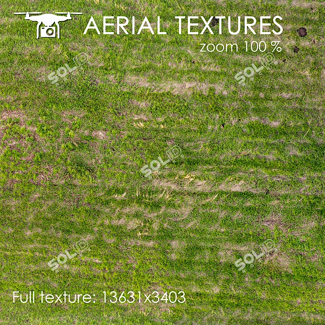 Aerial Grass Texture 3D model image 3