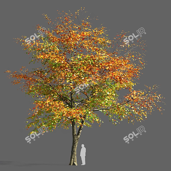  Majestic Maple Tree Sculpture 3D model image 1