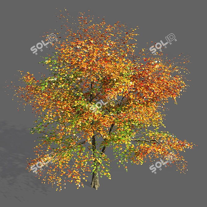 Majestic Maple Tree Sculpture 3D model image 2