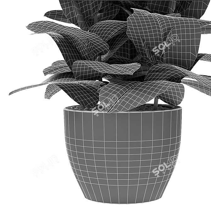 Exotic Plant in Pot: Tropical Vibes 3D model image 3