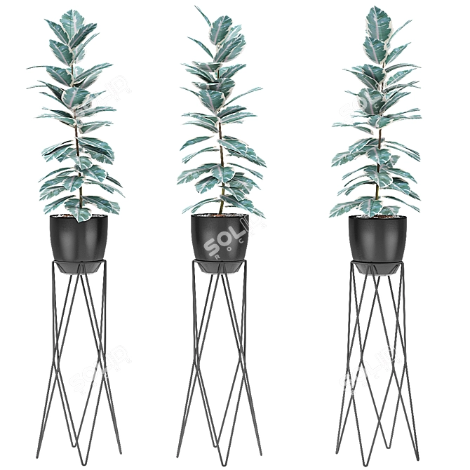 Exotic Palm Tree in Flowerpot 3D model image 1