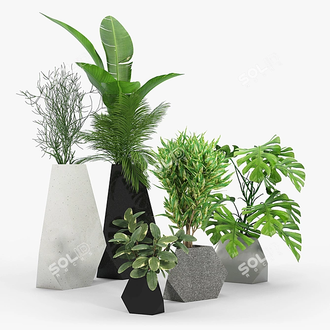 Rockbound Plant Pots - Modern and Stylish 3D model image 1