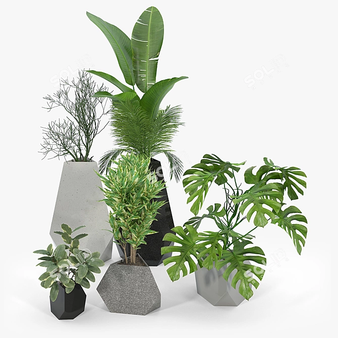 Rockbound Plant Pots - Modern and Stylish 3D model image 2