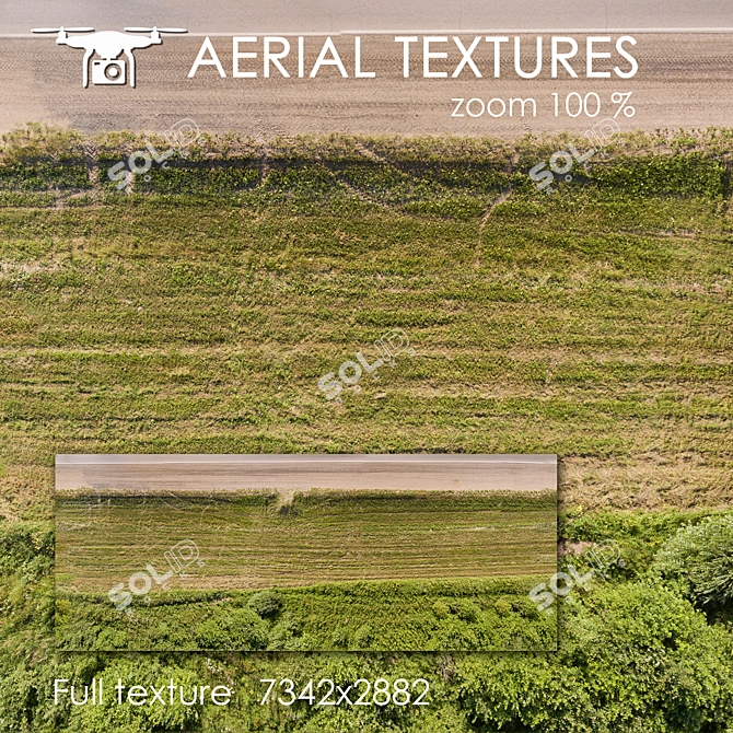 Drone-Captured Field Texture 3D model image 1