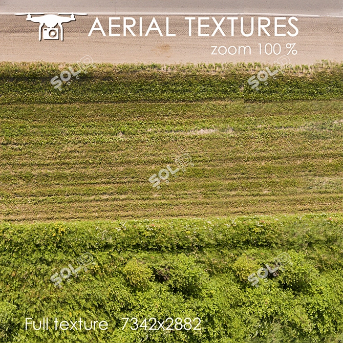 Drone-Captured Field Texture 3D model image 3