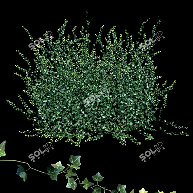 Lush Hedera Ivy Garland 3D model image 1