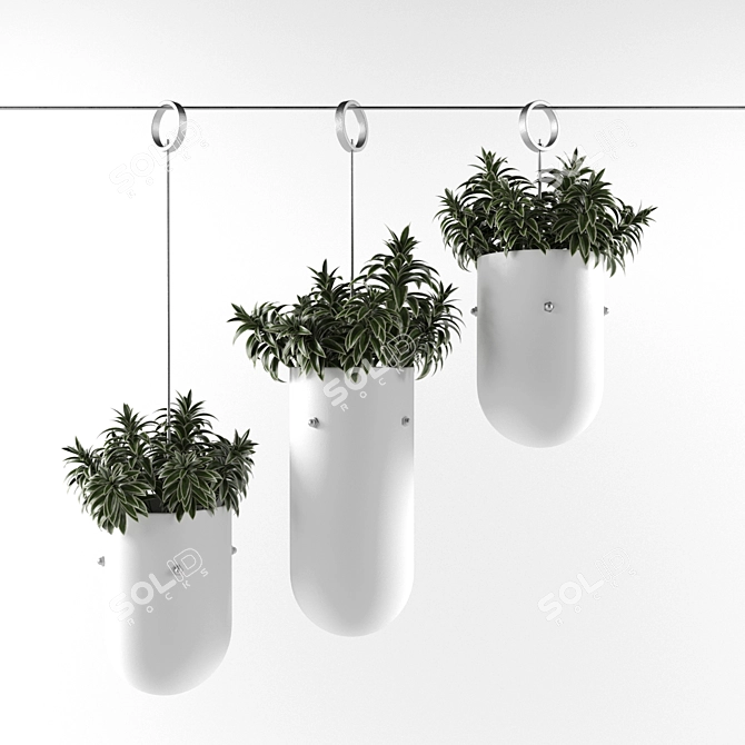 3Dmax 2013 + Vray + Obj: Plant Collection 3D model image 1