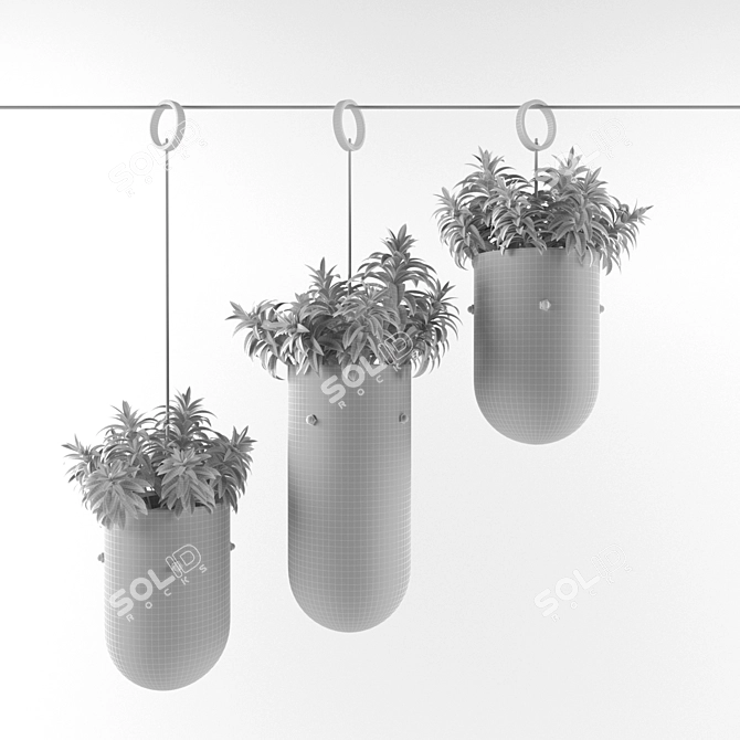 3Dmax 2013 + Vray + Obj: Plant Collection 3D model image 3