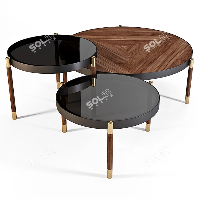 Sleek and Stylish: Meroni and Colzani Coffee Tables 3D model image 1