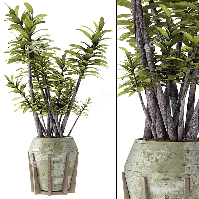 Title: Exotic Palm Tree Plant in Stylish Flowerpot 3D model image 1