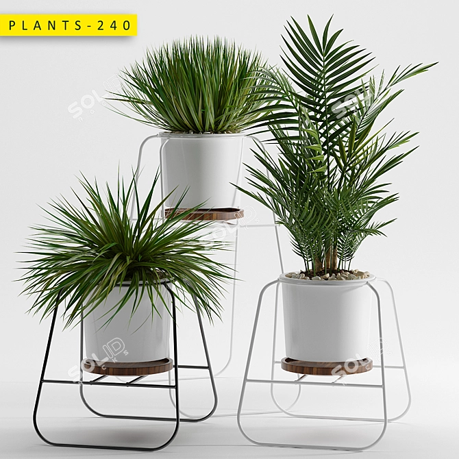 240 Plants Pack | 3DS Max & OBJ Models 3D model image 1