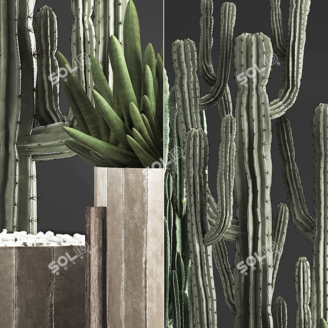 Exotic Indoor Plant Collection 3D model image 2