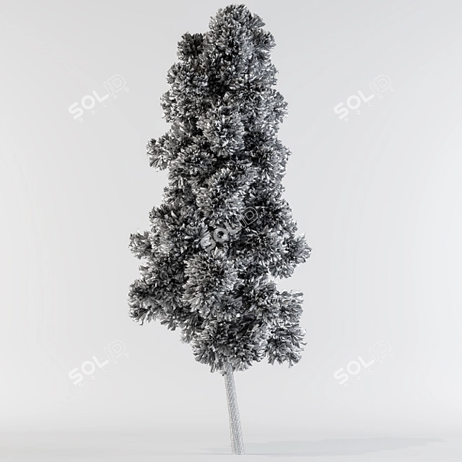 Evergreen Pine Tree Collection 3D model image 2