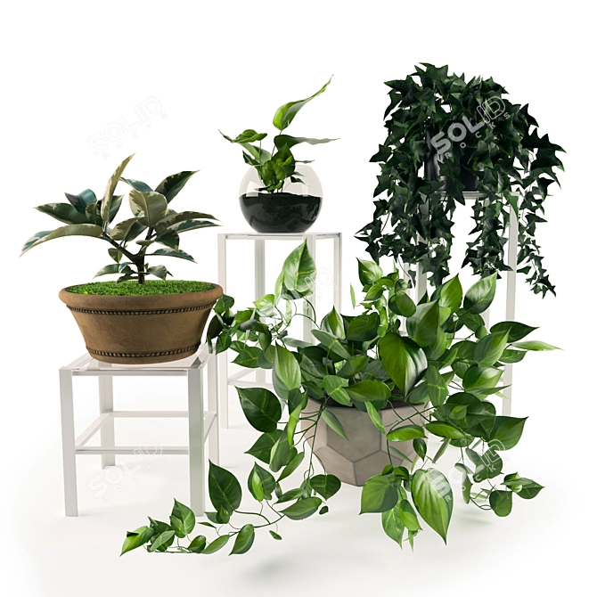 Lush Green Indoor Plant Collection 3D model image 1