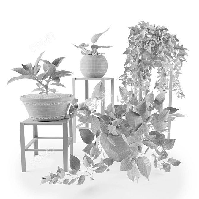 Lush Green Indoor Plant Collection 3D model image 3