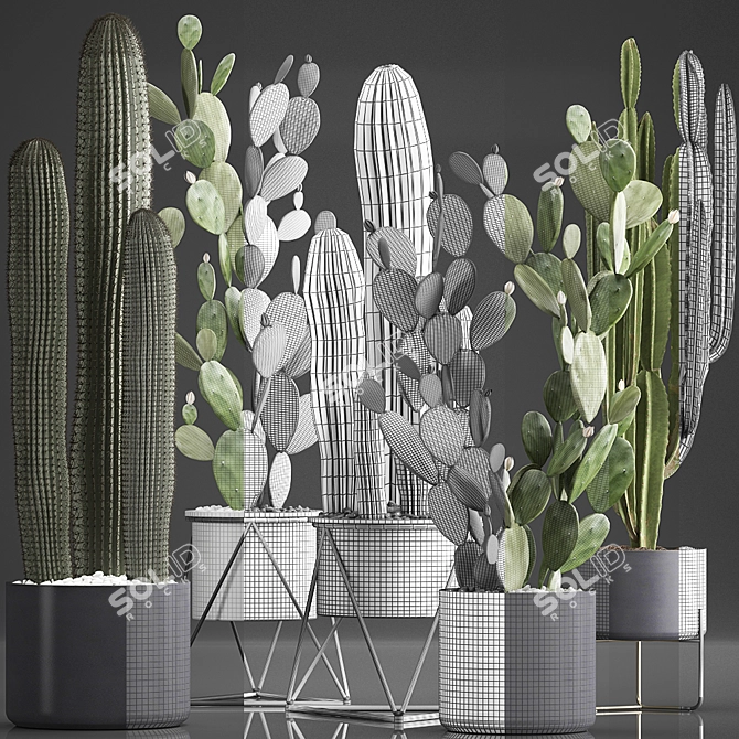 Exotic Cactus Collection: 376 Varieties 3D model image 3