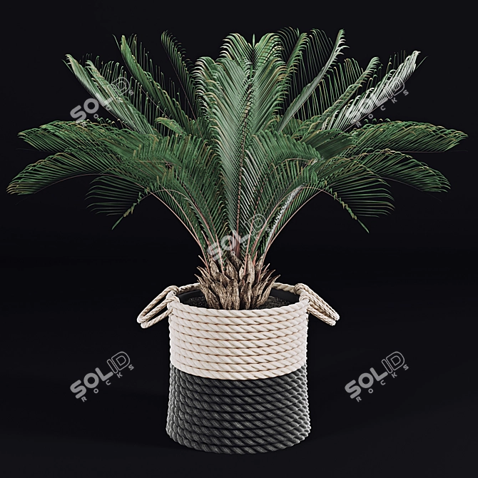 Tropical Palms in Baskets 3D model image 2