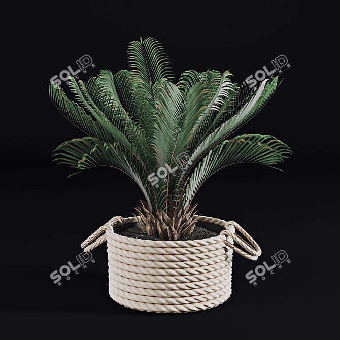 Tropical Palms in Baskets 3D model image 3