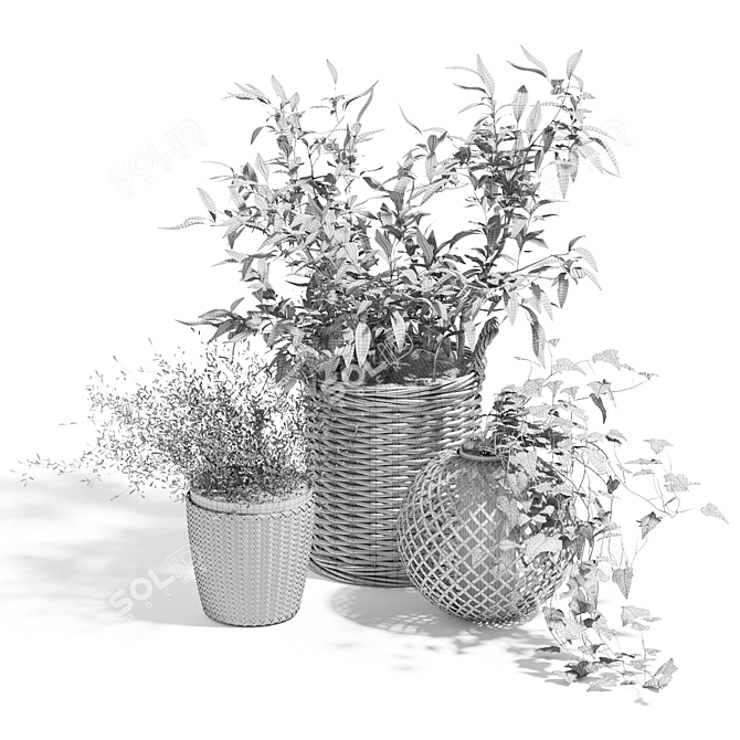 Indoor Plants in Baskets 3D model image 3