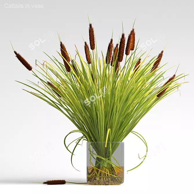 Title: Wild Mood Cattails in Vase 3D model image 1