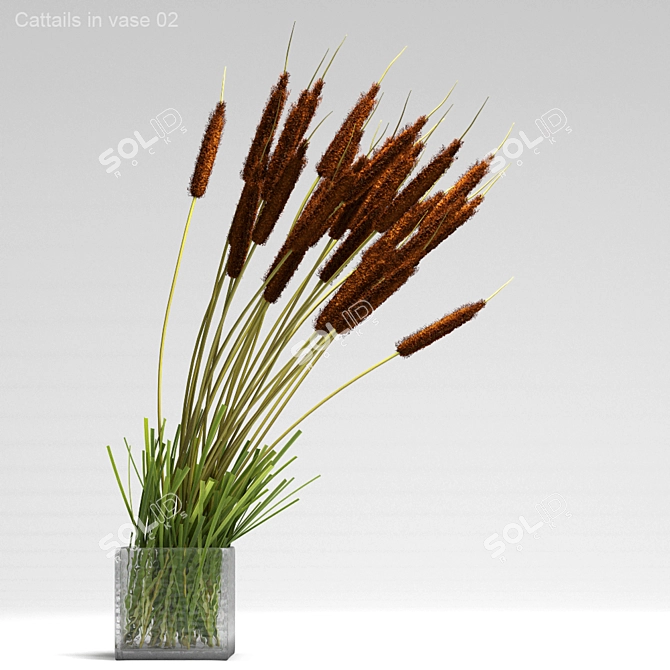 Natural Cattails in Glass Vase 3D model image 1