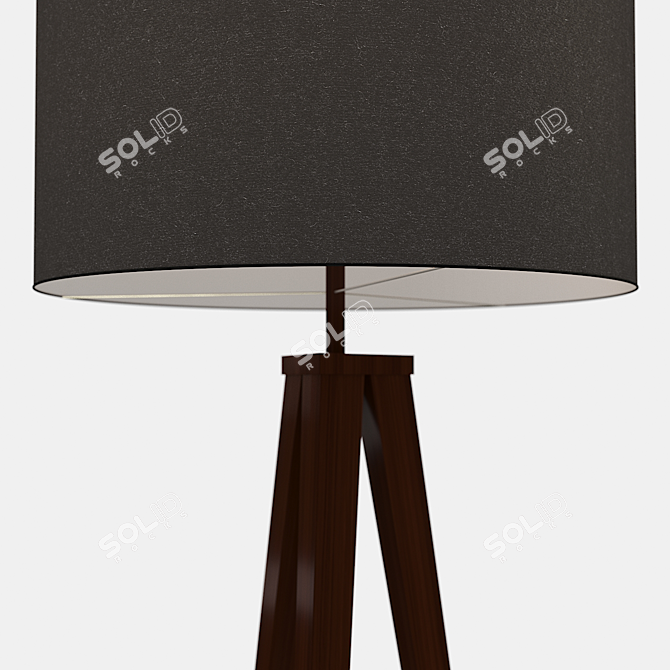 Elevate Your Space: Director's Tripod Lamp 3D model image 2