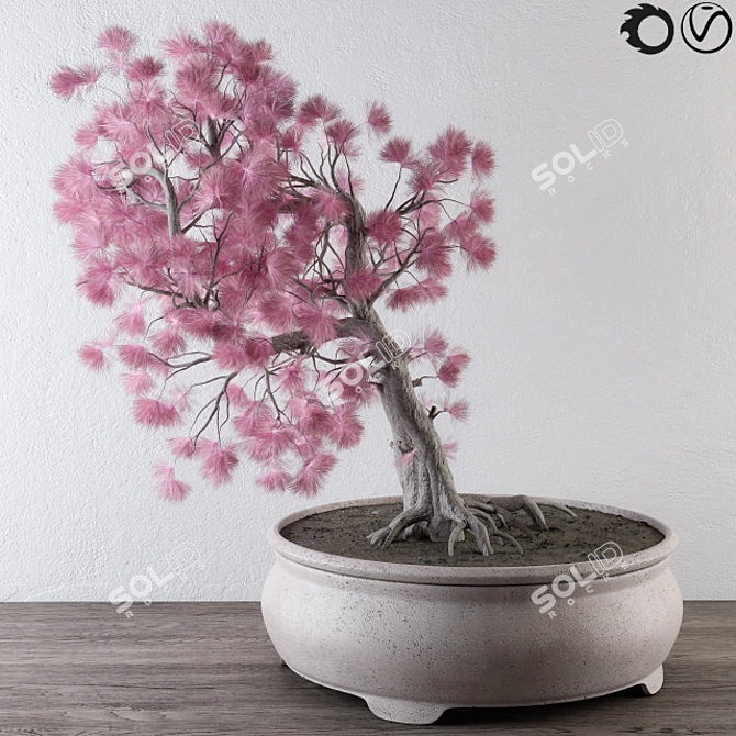 Pink Pine Bonsai: Vibrant, Versatile, and Ornamental 3D model image 1