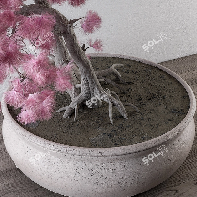 Pink Pine Bonsai: Vibrant, Versatile, and Ornamental 3D model image 2