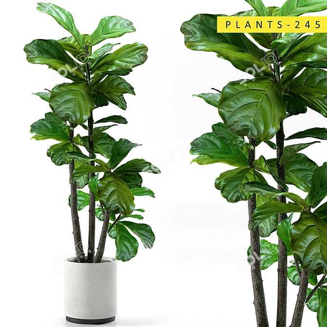  3D Plants Collection: 245 Varieties 3D model image 1