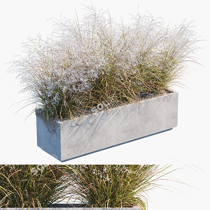 Flowering Miscanthus: Yard & Outdoor Plant 3D model image 1