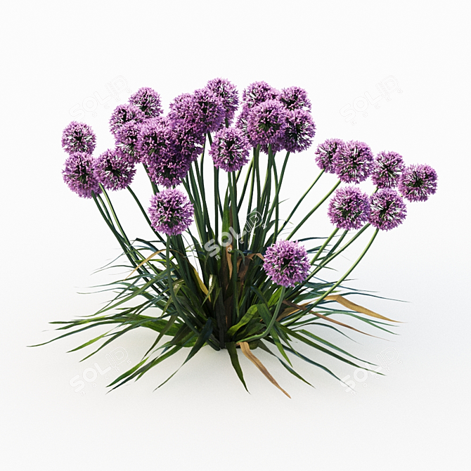 Procedural Landscape Elements: Grass & Allium Variations 3D model image 3