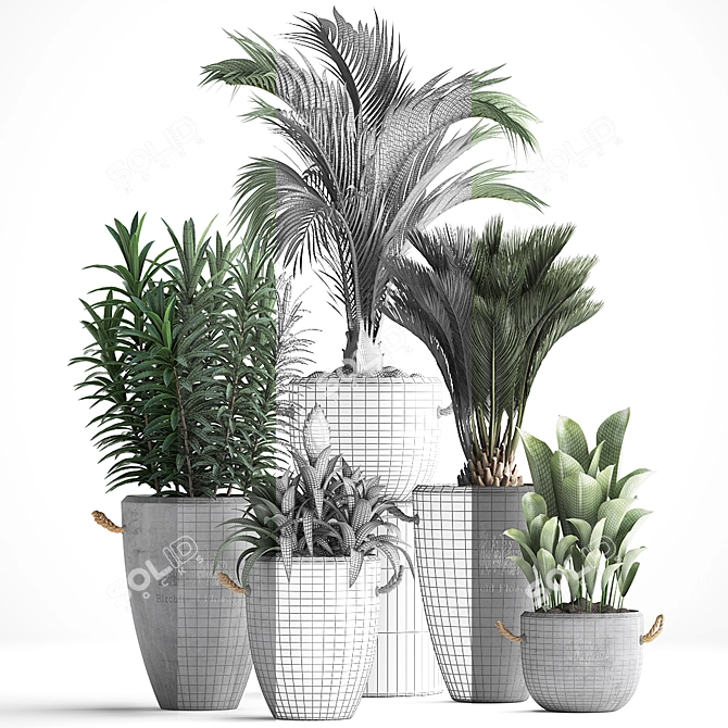 Exotic Houseplant Collection 3D model image 3