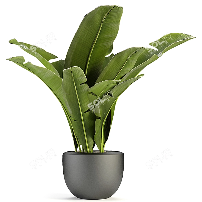 Exotic Greenery in Concrete Pot 3D model image 1