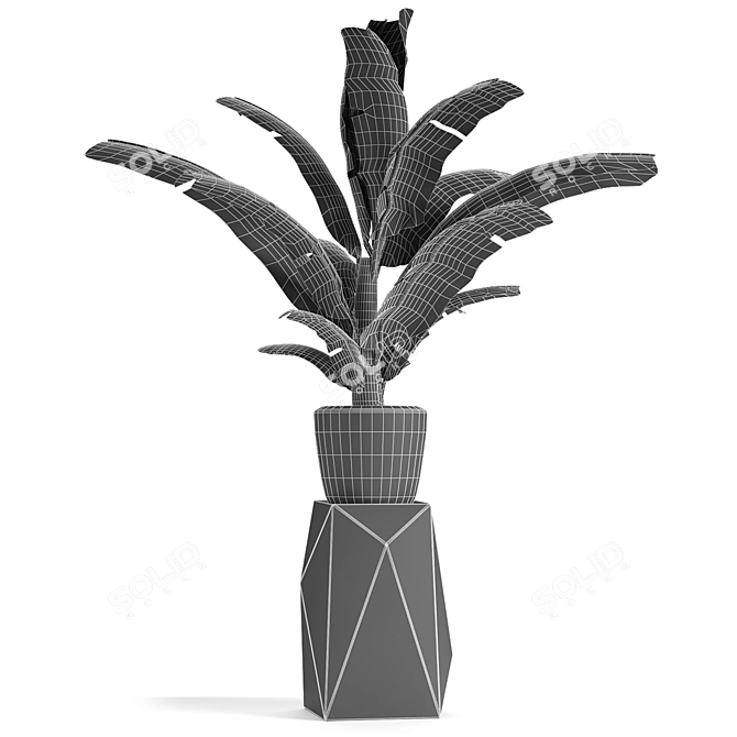 Exotic Flowerpot Plant: Tropical Elegance 3D model image 3