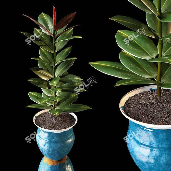 Rustic Ficus Plant in Iron Vase 3D model image 1