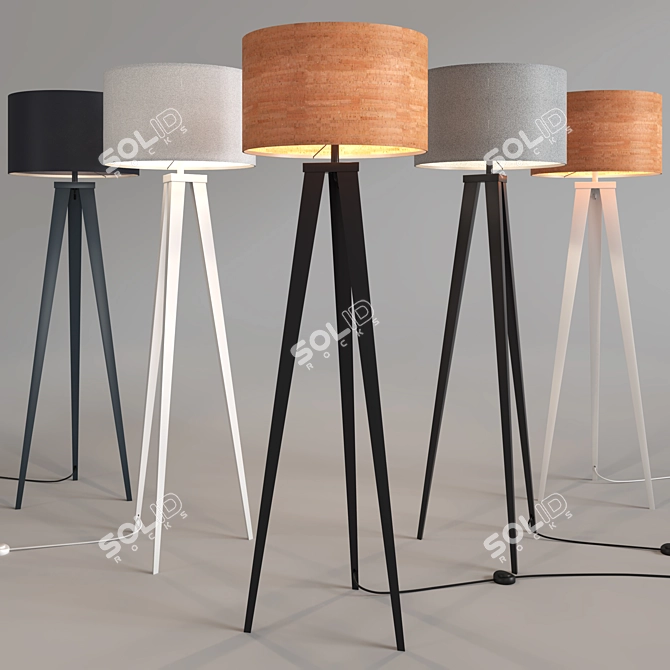 Zuiver Tripod Floor Lamp: Sleek and Stylish 3D model image 1